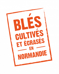 Logo-Blés-cultivés-tampon-orange